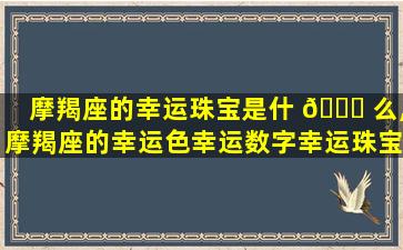 摩羯座的幸运珠宝是什 🐞 么,摩羯座的幸运色幸运数字幸运珠宝是什么
